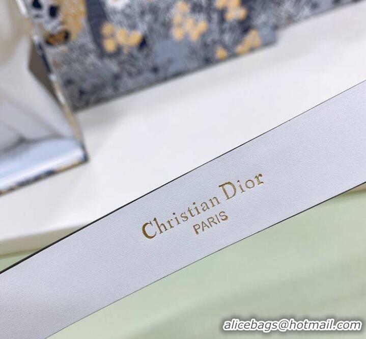 Spot Discount Dior Belt DIB00063