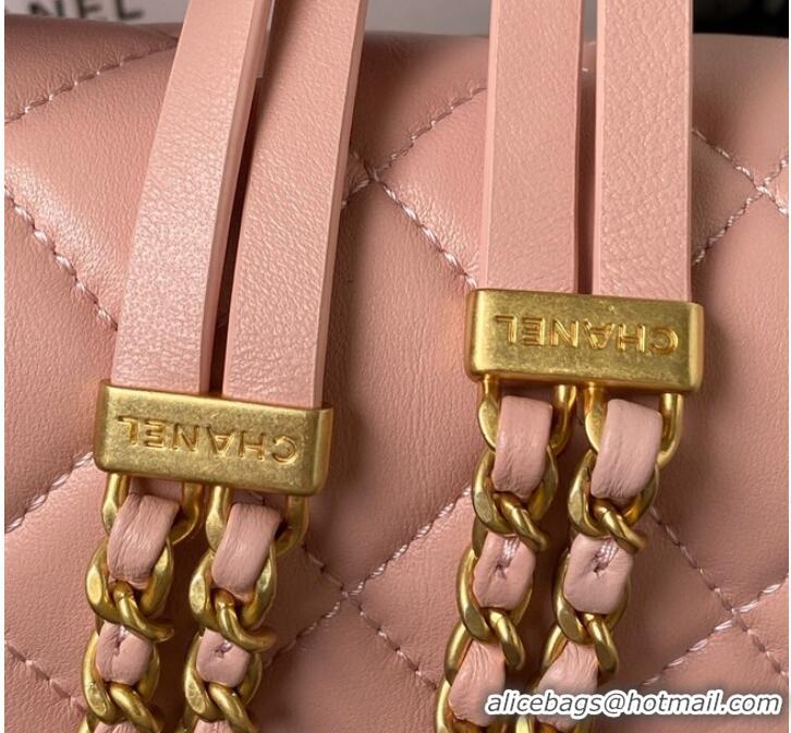 Famous Brand Chanel SMALL FLAP BAG AS4353 PINK