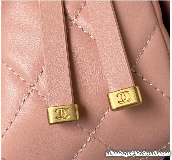 Famous Brand Chanel SMALL FLAP BAG AS4353 PINK