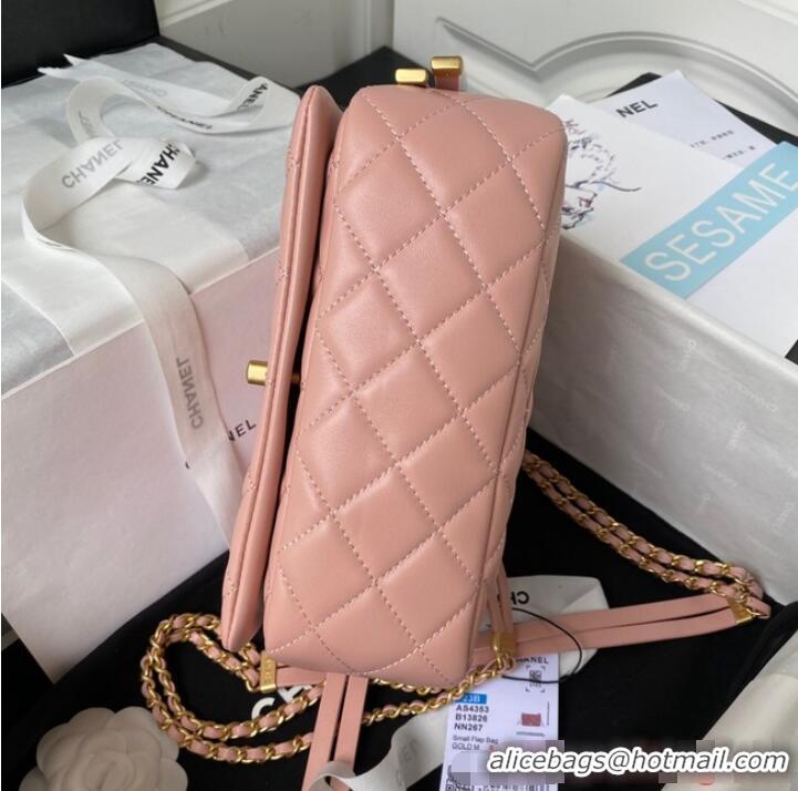 Famous Brand Chanel SMALL FLAP BAG AS4353 PINK