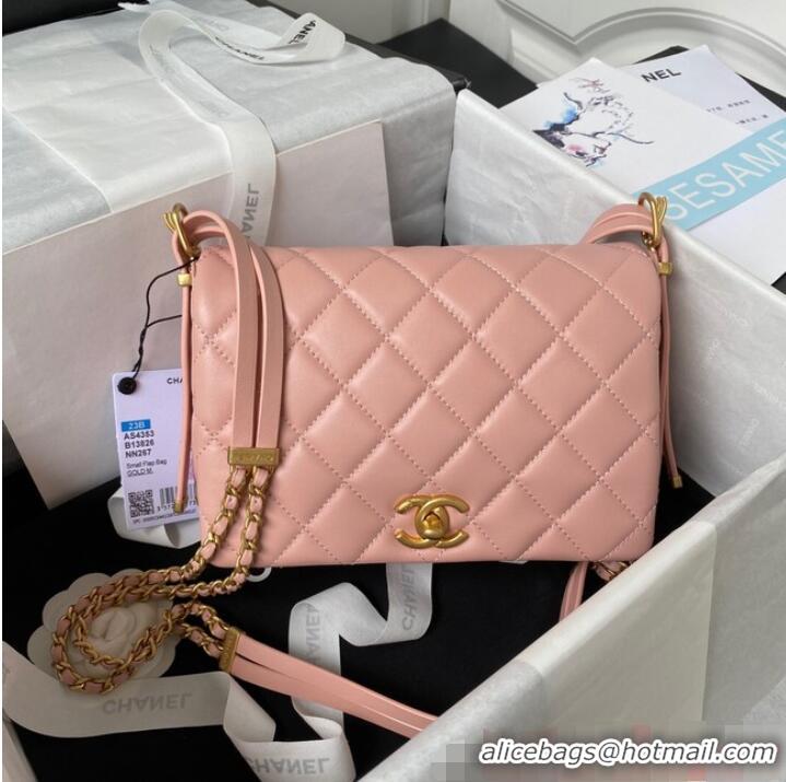 Famous Brand Chanel SMALL FLAP BAG AS4353 PINK