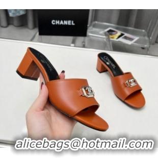 Big Enough Chanel Calfskin Slide Sandals with Framed CC Brown 1103004