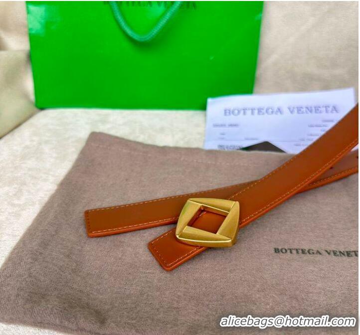 ​Classic Design Bottega Veneta Belt 25MM BVB00011