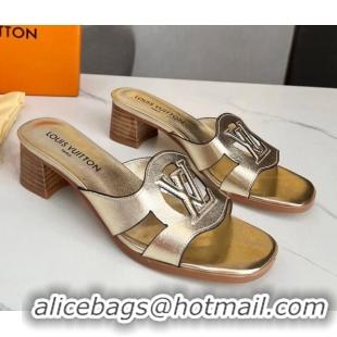 Good Looking Louis Vuitton LV Isola Leather Heel Slide Sandals 4.5cm Gold 915092