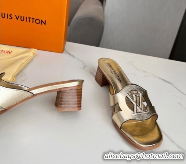 Good Looking Louis Vuitton LV Isola Leather Heel Slide Sandals 4.5cm Gold 915092