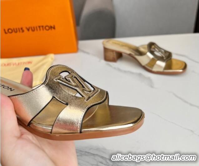 Good Looking Louis Vuitton LV Isola Leather Heel Slide Sandals 4.5cm Gold 915092