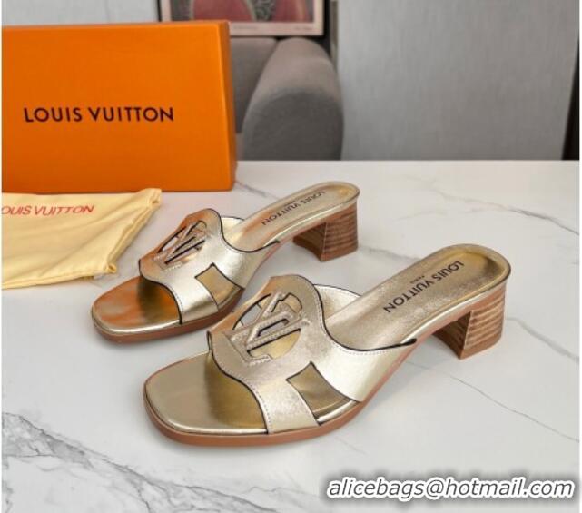 Good Looking Louis Vuitton LV Isola Leather Heel Slide Sandals 4.5cm Gold 915092