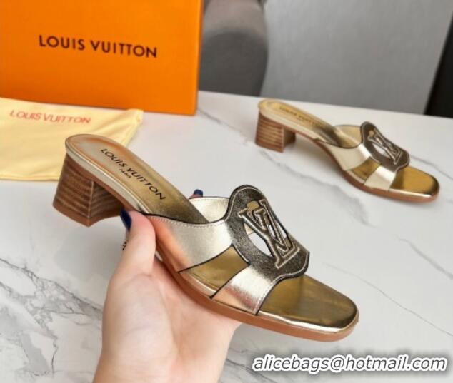 Good Quality Louis Vuitton LV Isola Leather Heel Slide Sandals 4.5cm with LV Circle Gold 918054