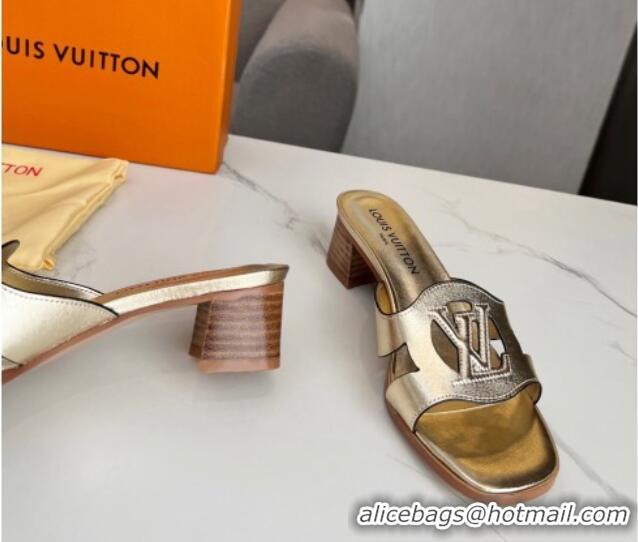 Good Quality Louis Vuitton LV Isola Leather Heel Slide Sandals 4.5cm with LV Circle Gold 918054