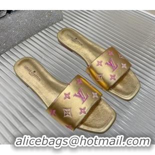 Durable Louis Vuitton Revival Flat Slide Sandals in Monogram Leather Gold 012145