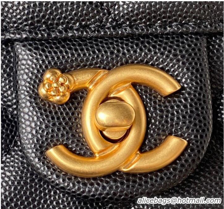 Famous Brand Chanel SMALL BACKPACK AS4490 black