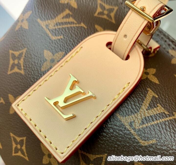 Famous Brand Louis vuitton Atlantis BB M46816 brown