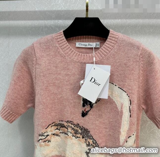 Buy Discount Dior Cashmere and Wool Short-sleeved Sweater D110914 Pink 2023