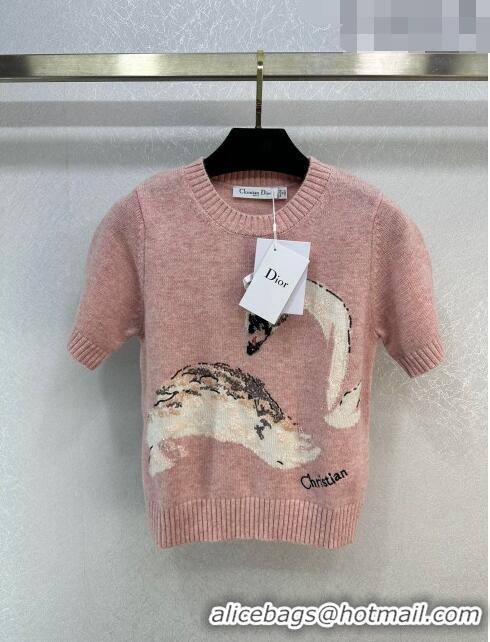 Buy Discount Dior Cashmere and Wool Short-sleeved Sweater D110914 Pink 2023