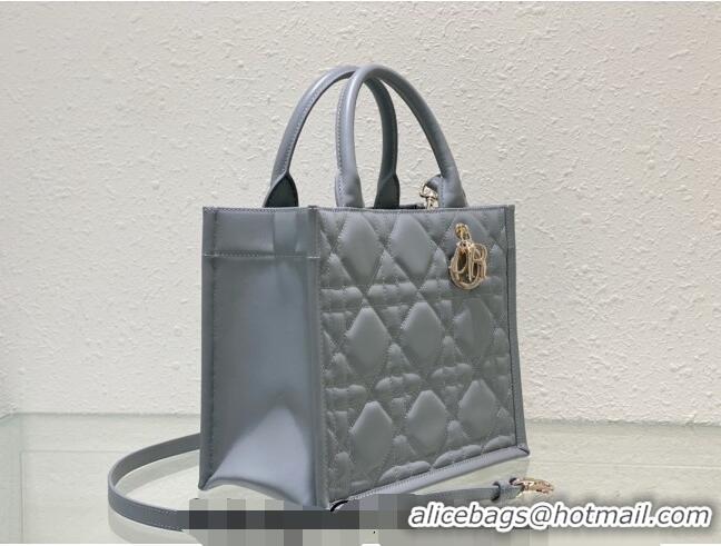 Traditional Specials Dior Small Tote Bag in Grey Cannage Calfskin DR111501