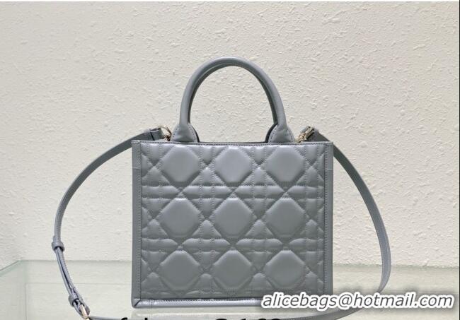 Traditional Specials Dior Small Tote Bag in Grey Cannage Calfskin DR111501