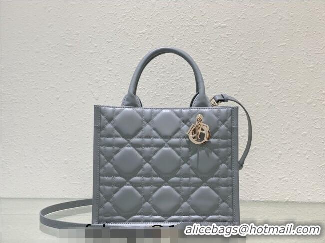 Traditional Specials Dior Small Tote Bag in Grey Cannage Calfskin DR111501