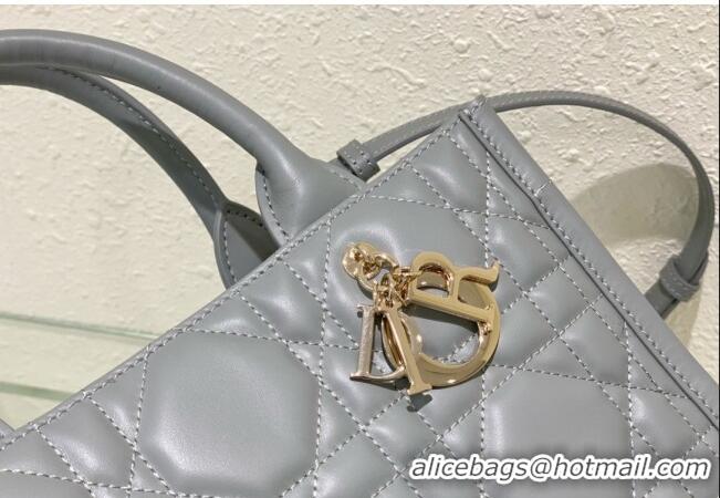 Traditional Specials Dior Small Tote Bag in Grey Cannage Calfskin DR111501