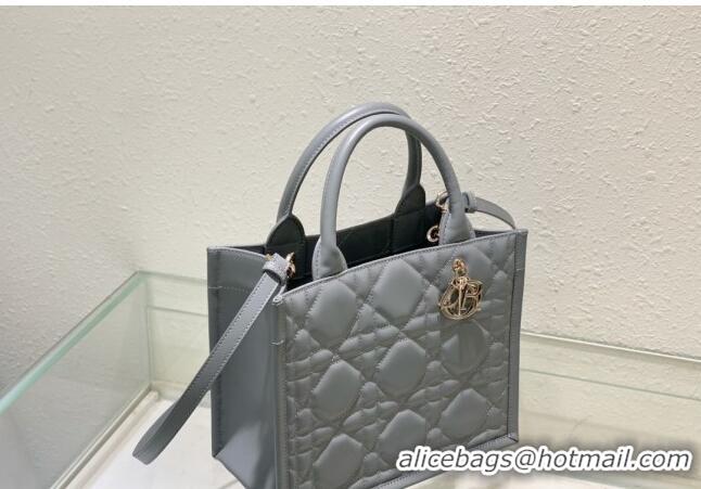 Traditional Specials Dior Small Tote Bag in Grey Cannage Calfskin DR111501