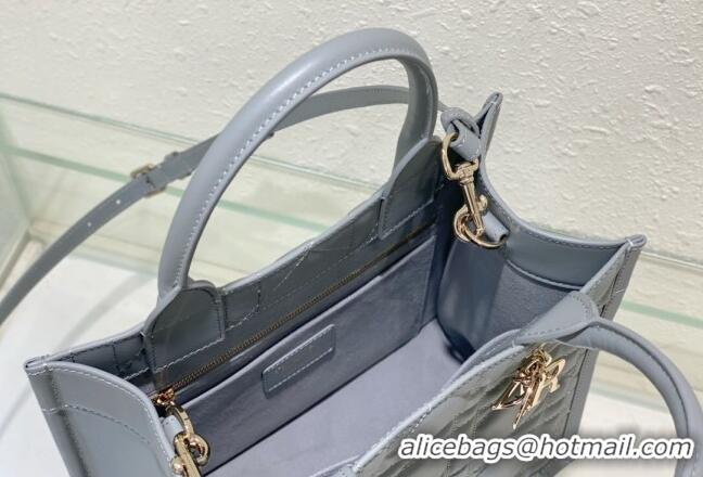 Traditional Specials Dior Small Tote Bag in Grey Cannage Calfskin DR111501