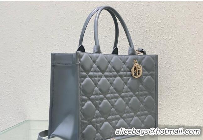 Good Taste Dior Medium Tote Bag in Cannage Calfskin DR111501 Grey