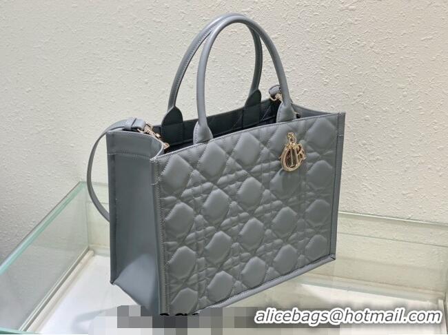 Good Taste Dior Medium Tote Bag in Cannage Calfskin DR111501 Grey