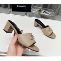 Top Sales Chanel Calfskin Slide Sandals with Framed CC Beige 103007