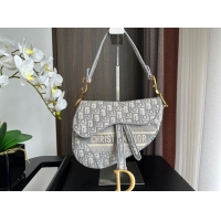 Top Grade Dior SADDLE BAG Embroidery M0446C-2