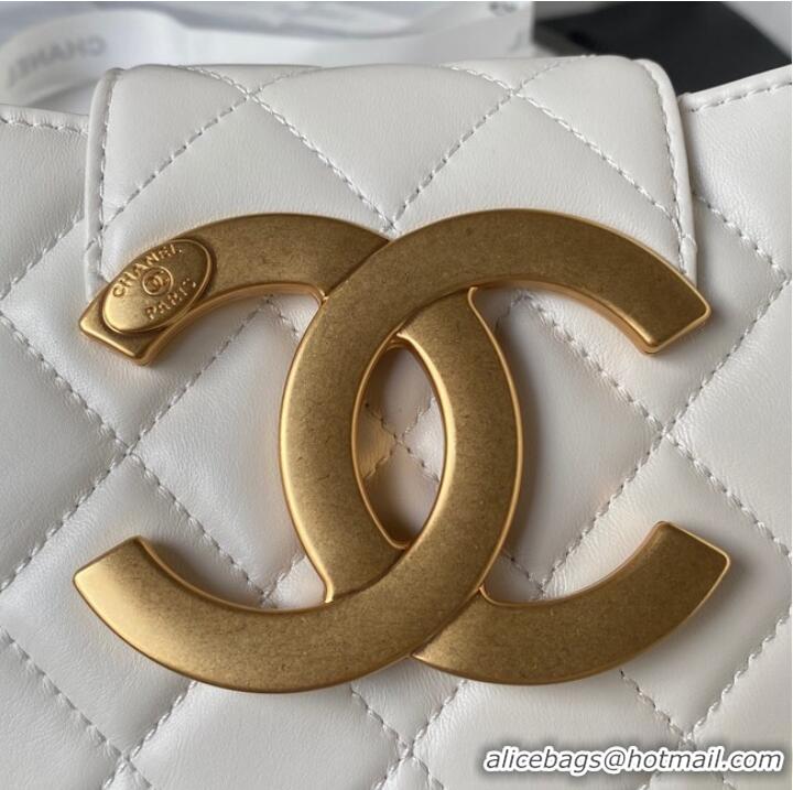 Famous Brand Chanel SMALL MESSENGER BAG AS4609 White