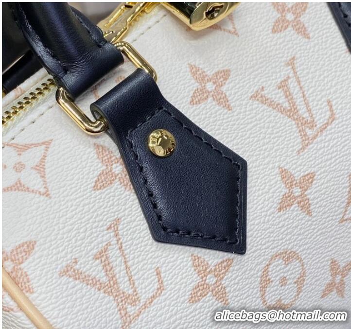 Famous Brand Louis Vuitton Speedy 20 M46906 Beige