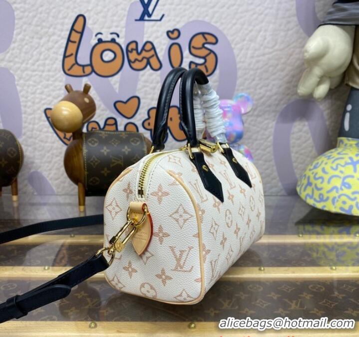 Famous Brand Louis Vuitton Speedy 20 M46906 Beige