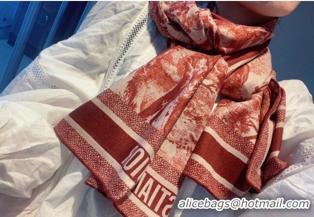 Top Quality Dior Toile de Jouy Cashmere Long Scarf 65x185cm D1108 Red 2023