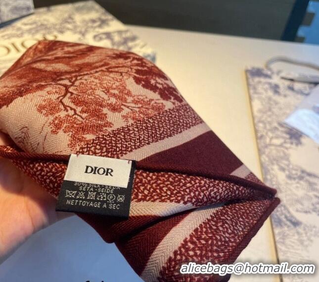 Top Quality Dior Toile de Jouy Cashmere Long Scarf 65x185cm D1108 Red 2023