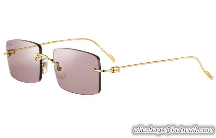 Buy Inexpensive Cartier Signature C de Cartier Precious Sunglasses C7412