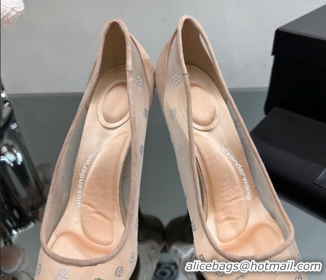 Best Grade Alexander Wang Delphine Pumps 10.5cm in Mesh and a Crystals Nude 626050