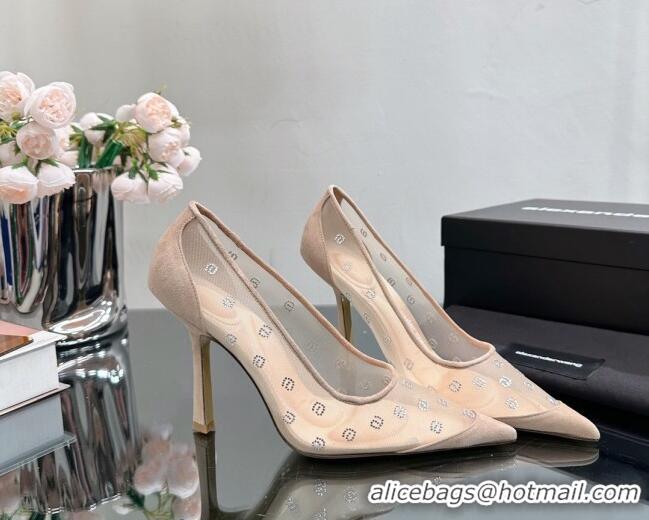 Best Grade Alexander Wang Delphine Pumps 10.5cm in Mesh and a Crystals Nude 626050