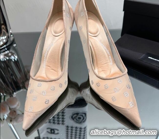 Best Grade Alexander Wang Delphine Pumps 10.5cm in Mesh and a Crystals Nude 626050