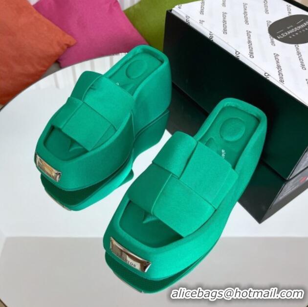 Popular Style Alexander Wang Taji Platform Wedge Slides Sandals in Woven Fabric with Metal Band Green 071038