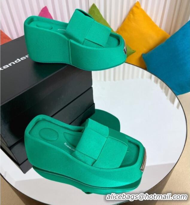 Popular Style Alexander Wang Taji Platform Wedge Slides Sandals in Woven Fabric with Metal Band Green 071038