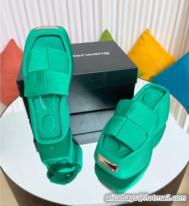 Popular Style Alexander Wang Taji Platform Wedge Slides Sandals in Woven Fabric with Metal Band Green 071038