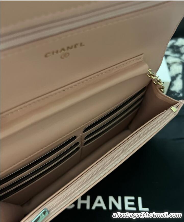 Top Quality Chanel CLASSIC WALLET ON CHAIN AP0250 Pink