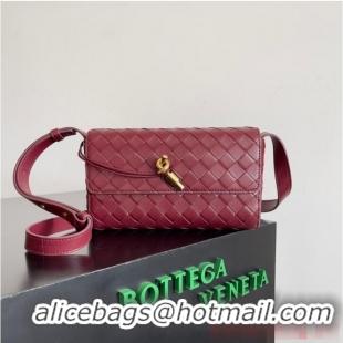 Most Popular Bottega Veneta Mini Andiamo Cross-Body Bag 755545 Barolo