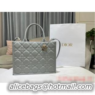 Famous Brand MEDIUM DIOR BOOK TOTE Calfskin M1296ZG Gray