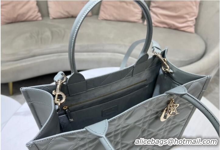 Famous Brand MEDIUM DIOR BOOK TOTE Calfskin M1296ZG Gray