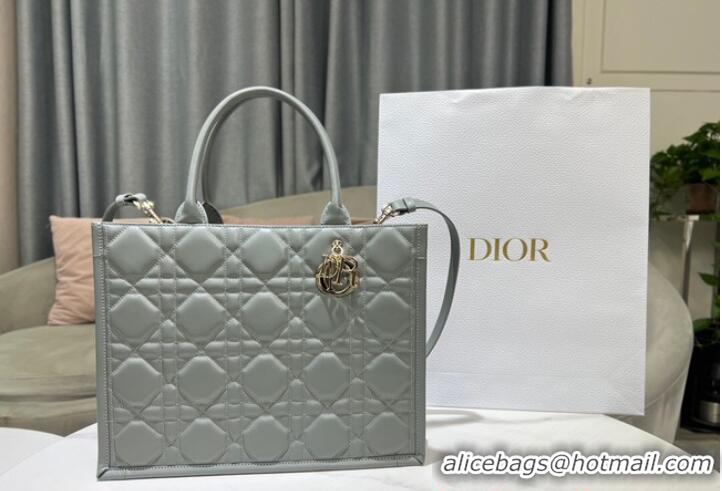 Famous Brand MEDIUM DIOR BOOK TOTE Calfskin M1296ZG Gray