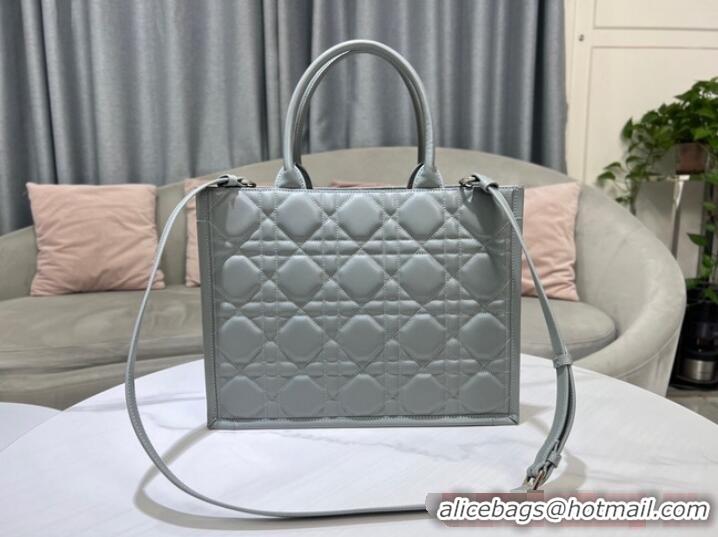 Famous Brand MEDIUM DIOR BOOK TOTE Calfskin M1296ZG Gray