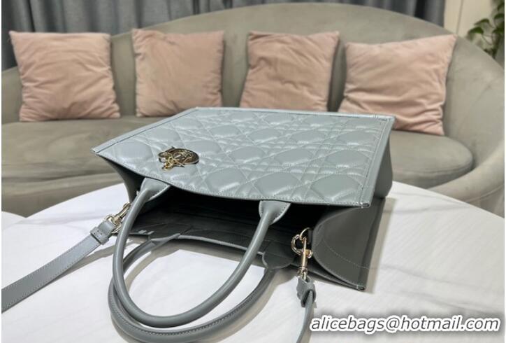 Famous Brand MEDIUM DIOR BOOK TOTE Calfskin M1296ZG Gray