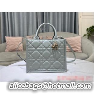 Buy Discount SMALL DIOR BOOK TOTE Calfskin M1295ZG Gray