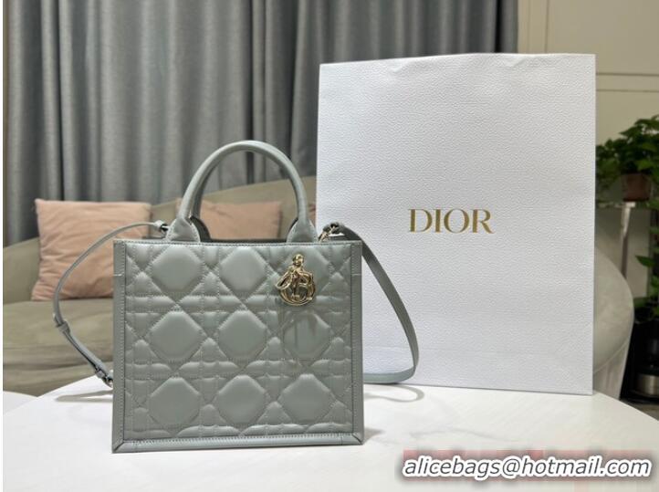 Buy Discount SMALL DIOR BOOK TOTE Calfskin M1295ZG Gray