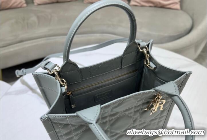 Buy Discount SMALL DIOR BOOK TOTE Calfskin M1295ZG Gray